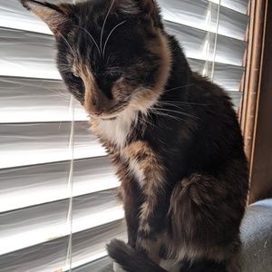 Meet your Posher, Beth